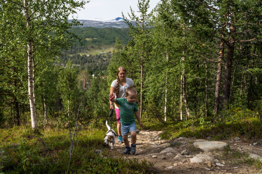 på fjelltur rundt billingen i skjåk